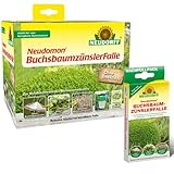 Neudorff Neudomon BuchsbaumzünslerFalle + BuchsbaumzünslerFalle Nachfüllpack