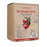 5 Liter Bio Granatapfel Direktsaft Muttersaft Granatapfelsaft von Granar Bio
