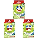 WC-Ente Frische-Siegel Nachfüller, körbchenloser WC-Reiniger, 12 Gel WC-Steine, Limone Duft, 3er Pack (2 x 36 ml)