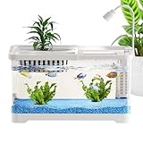 Kleines Betta-Aquarium Mit Filter – Transparentes Desktop-Aquarium-Set, 2,5 Gallonen Fassungsvermögen | Mini-Fischschalen-Lebensraum Für -Guppy-Schnecken, Home-Office-, Geschenk Für Anfän