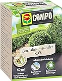 COMPO Buchsbaumzünsler K.O. - Insektizid - schnelle Hilfe bei Schädlingen an Buchsbäumen - Konzentrat mit Dosierbecher - für gesunde Pflanzen - 50 ml