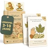Heldenzimmer Outdoor Suchspiel Kinder – Outdoor Spiele für Kinder | 100 Aufgaben Suchspiel, 50 Doppelseitige Entdeckerkarten 2 Altersstufen, 16 Abzeichen