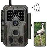 GardePro E8 Wildkamera WLAN mit App 64MP H.264 1296P Video, 27m Infrarot Nachtsicht Bewegungsmelder Wildtierkamera WiFi Handyübertragung, 0,1s Schnelle Trigger, IP66