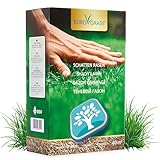 Premium Schattenrasen Rasensamen & Grassamen | Schnellkeimende Rasensaat für Dichten Rasen im Schatten | Nachsaat Rasen Schnellkeimend im Herbst | Pflegeleicht Schattenrasen Samen – 1 kg für 40 m²