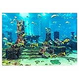 PVC Coral Aquarium Hintergrund Unterwasserposter Aquarium Wand Dekorationen Aufkleber für Aquarium(61*30cm)