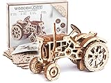 WOODEN.CITY – 3D Puzzle, Holzmodellbausatz zum Bauen –...