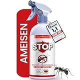 KRAFTKÖNIG PREMIUM Ameisenspray - Sofort + Effektiv Formel - 500ML Ameisen Spray - Alternative zu Ameisengift und Ameisenköderdose - Besser als Jede Ameisenfalle