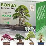 Easy Bonsai Starter Kit - Bonsai Anzuchtset 4 versch. Bonsai Samen - Züchte deinen wunderschönen Bonsai Baum - Nachhaltiges Geschenkset/Pflanzset inkl. Anleitung (Booklet) & Zubehör - SeedPal