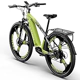 PRASHANT CM520 E-Bike Damen Herren, Offroad E-Mountainbike 29 Zoll Elektrofahrrad mit 48V 14Ah Akku, hydraulische Scheibenbremse (Grün)