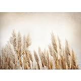 Runa Art Fototapete Boho Pampasgras 352 x 250 cm Vlies Tapeten XXL Moderne Wandtapete Wohnzimmer Schlafzimmer Beige 9583011a