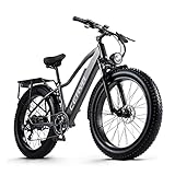 CEAYA Elektrofahrrad,E-Bike für Herren und Damen,26''E-Mountainbike,48V20AH E Fahrrad,Shimano 8-Gänge Elektro Fahrrad