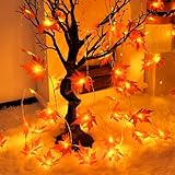 Isisyu Herbst Ahornblatt Lichterkette - 3M 20 LED Batterie Mit Timer - Girlande Dekoration für Halloween Kürbis Erntedankfest Thanksgiving Party Herbstdeko