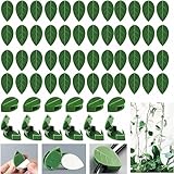 INGJIA 60 Stück Pflanzenhalter Wand, Pflanzenclips Pflanzenwand Kletterpflanzen Halterung für Plant Climbing Wall Garten Pflanzen Stängel