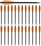 WANVZMR 6,3' Carbon Armbrust Bolzen Pfeile mit Stahlspitzen Jagdpfeile für 50-80lbs Pistolenarmbrust Präzisionsziel,Mini Armbrustpfeile Armbrust Carbon Bolzen für Zielpraxis Jagd