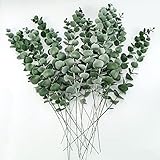 Toripor 20 Stück Künstliche Eukalyptus Zweige, 38CM Fake Blumendeko, Pflanzen Trockenblumen Deko für Hochzeit Party Zuhause Garten Tisch Blumen Vasen