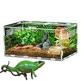 Zuchtbox – Acryl-Reptilien-Zuchtbox – Reptilien-Futterbox, Aquarium-Zuchttank, Große Acryl-Vogelspinne-Habitatbox Für Kleine Tiere, Insekten, Heimbüro – Reptilien-Haustier-Zuchtbox