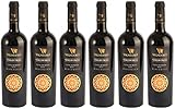 Vignuolo - La Cantina di Andria Castel del Monte Nero di Troia DOC 2022 Trocken Bio (6 x 0.75 l)