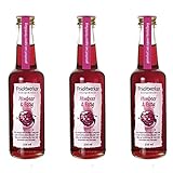 Fruchtwerker | Himbeer & Essig | Mit Saft aus echten Früchten | 3er Pack | 3x 250ml Glasflasche