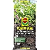Compo SANA Grünpflanzen- und Palmenerde mit 8 Wochen Dünger für alle Zimmer- und Balkonpflanzen sowie Palmen und Farne, Kultursubstrat, 20 Liter
