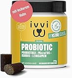 ivvi PROBIOTIC Hunde Probiotika als Leckerli - Hund Darmflora aufbauen, verbesserte Verdauung & Immunsystem - 60 leckere Snacks (270g) mit Huhn