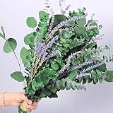 115 pcs Eukalyptus mit Lavendel Strauß, 3 Arten Echte Trockenblumen Eukalyptus zum Dekoration, 17' perfekte Eukalyptuszweige Getrocknet für Geschenk, Eukalyptusblatt für Dusche (ca.43cm)