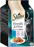 SHEBA® Portionsbeutel Multipack Fresh & Fine in Gelee mit Thunfisch und Lachs MSC 6 x 50g