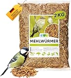 EWL Naturprodukte Mehlwürmer getrocknet 2 kg (13 L), Insektensnack für Vögel, Fische, Schildkröten, Nager und Reptilien