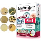 Schimmeltest für zu Hause - Schimmelpilz Test für bis zu 6 Räume - Schimmelpilz Schnelltest zur Einschätzung der Luftqualität hinsichtlich einer Schimmelpilzbelastung in Innenräumen