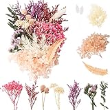 LAUMOE Trockenblumen, Getrocknete Blumen, Trockenblumen Zum Basteln Trockenblumen Klein Trockenblumen Set ​für Kunst DIY Harz Scrapbooking Handwerk Karten Machen (Stil 4)