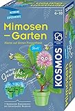 KOSMOS 657802 Mimosen-Garten, Pflanzen züchten und erforschen, Komplett-Set mit Mini-Gewächshaus, Experimentier-Set für Kinder ab 6 - 10 Jahre, Mitbringexperiment