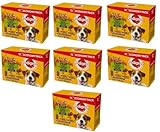 PEDIGREE Adult Hundenassfutter für ausgewachsene Hunde im Portionsbeutel – Gemischte Selektion in Sauce 4 Varietäten, 84 x 100g