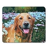 LOOXIS Personalisiertes Mauspad mit Foto, zum selbst gestalten und Bedrucken Lassen – Geschenk-Idee für Freunde, Kinder, Gamer, Büro – rutschfeste Unterseite, 23 x 19 cm