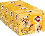 Pedigree Junior Hundenassfutter Vital Protection für Welpen, 48 Portionsbeutel, 12x100g (4er Pack) – Hundefutter nass, in 4 Varietäten in Gelee mit Huhn, Rind, Geflügel, Lamm