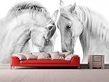 Fototapete für weiße Pferde | Wandtapete | Wandbild | Wandtattoo | Wandtattoo | Verschiedene Maße 400 x 300 cm | Dekoration für Esszimmer, Wohnzimmer, Schlafzimmer usw.