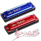 Mundharmonika,2 Stück Kinder Mundharmonika -10 Löcher mundharmonika Diatonisch - Mundharmonika C-Dur Major Blues Harmonika, für Anfänger/Profis mit Etui(Blau und Rot)