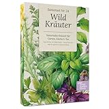 Magic Garden Seeds - Wildkräuter Saatgut Box mit 9 Sorten - essbare Kräuter für Salat, Tee & Küche - Geschenkidee für Balkon, Terrasse & Garten