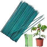 50 Stück 30cm pflanzenstab Bambus Grün, Stäbe Pflanzen Stütze Blumenstab,Orchideenstab Plant Sticks mit 50 Metallischen Bindebändern für Haus Garten Kletterpflanze Erweiterung der Pflanzenstütze (A)