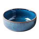 CSYY Salatschüssel aus Keramik, Große Porzellan Salatschale Oder Suppenschale 21cm,Blau