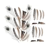 VILLCASE 6 Stück Naturschmuck Herstellung Federn Zubehör Federn Ornament DIY Federn Dekoration Bastelfedern Federdekor Home Federn Dekoration Gefälschte Feder