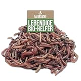 Natursache Kompostwurm-Mix 250 STK./Box + E-Book I Mit 3 Arten lebenden Kompostwürmer I Für eine schnelle & nachhaltige Kompostierung in Schnellkomposter, Thermokomposter und Wurmkomposter etc.