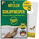 Nützler ® Schlupfwespen gegen Lebensmittelmotten - EINZELLIEFERUNG - (20 Karten, 1 Lieferung) - Nützlinge - Mottenbekämpfung mit Trichogramma evanescens