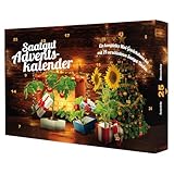 Adventskalender - 24 Samen & komplettes Gewächshaus 'Kamin'...