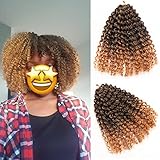 Marlybob Passion Twist Hair Marlybob Crochet Braids Hair Marly Twist Crochet Hair Short Crochet Hair Extensions für schwarze Frauen (20,3 cm (9 Bündel), #T-27