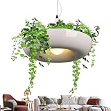 driattie Bepflanzter Pflanzenkronleuchter - Grüne Pflanzendeckenleuchten Für Schlafzimmer | Stimmungsbeleuchtung Minimalistische Lampe für Innen- und Außenbereich, Schlafzimmer, Küche, Wohnzimmer,