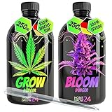 Homegrow24 Cannabis Dünger Indoor & Outdoor für Cannabispflanzen Wachstumsphase und Blütephase Duo Grow & Bloom Hanfdünger I Starter Set (Duo Dünger Set 2x250ml)