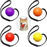 4 Stücke Hunde Ball auf Seil Interaktiver Hunde Training Ball Hunde Spielzeug Ball auf Seil Belohnung Übung Spielzeug für Kleine, Mittel Große Hunde Holen, Fangen, Werfen und Ziehen