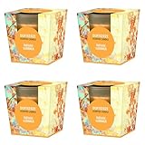 pajoma® Duftkerze 4er Set, Indian Summer - im satinierten Glas | 4x 120g Wachsgewicht, Brenndauer: 25 Stunden, in edler Geschenkverpackung | Premium Qualität