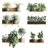 3DWandaufkleber, Entfernbarer PVC Bonsai Wandaufkleber,...