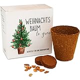 Tannenbaum Geschenk Set - Tannenbaum in der Dose Anzuchtset mit Kokostablette und Zellulose Topf - 8-10 Samen für 5 Tannenbäume Weihnachtsbaum Anzuchtset als Adventskalender Füllung