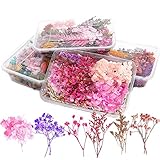 Lizaty 4 Boxen Natürliche Getrocknete Blumen Getrocknete Gepresst Blumen Gemischte Getrocknete Blätter,Gepresste Blumen für DIY Basteln Handwerk Epoxidharz Scrapbooking Dekoration